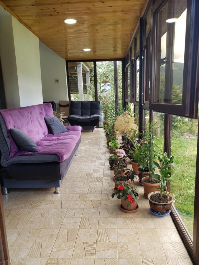 Guest House Nanu Μέστια Εξωτερικό φωτογραφία